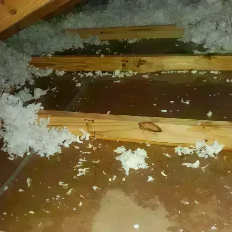 Attic Water Damage in Freer, TX