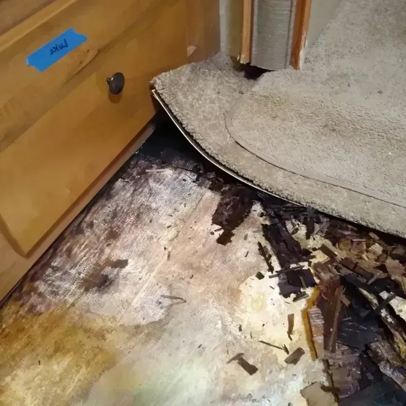 Wood Floor Water Damage in Freer, TX